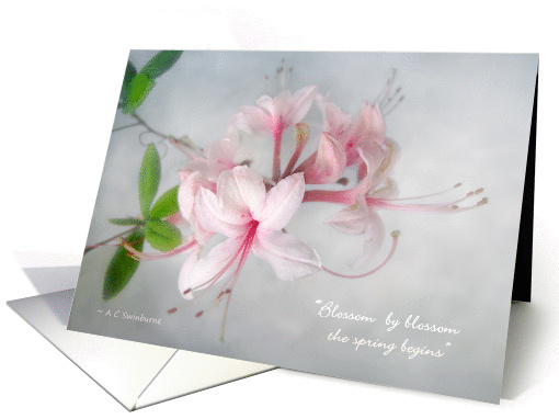 Wild Azeala Blossoms Blank Note card (1038969)
