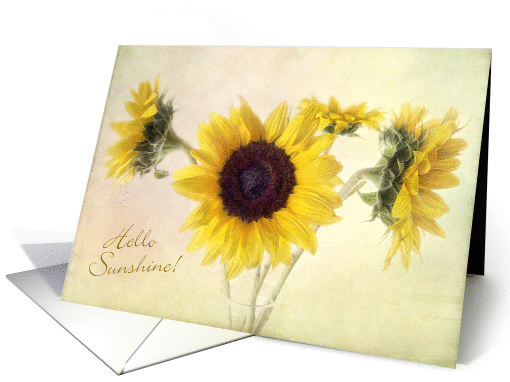 Hello Sunshine Thank You for Your Kindness Sunflowers card (837251)