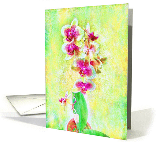 Impressionist Orchid Stll Life Blank Card in Green and Fuchia card