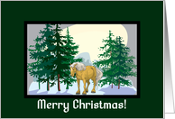 Scenic Belgian Horse Christmas Card