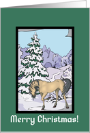 Scenic Andalusian Horse Christmas Card