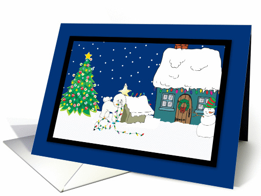 Christmas Lights Bichon Frise Christmas card (251435)