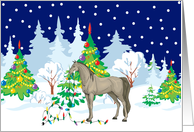 Christmas Lights Quarterhorse Christmas Card