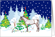 Christmas Lights Quarterhorse Christmas Card