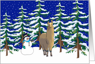 Winter Alpaca Christmas Card
