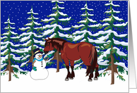 Winter Clydesdale Christmas Card