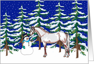 Winter Quarterhorse Christmas Card