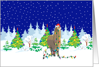 Christmas Lights Alpaca Christmas Card