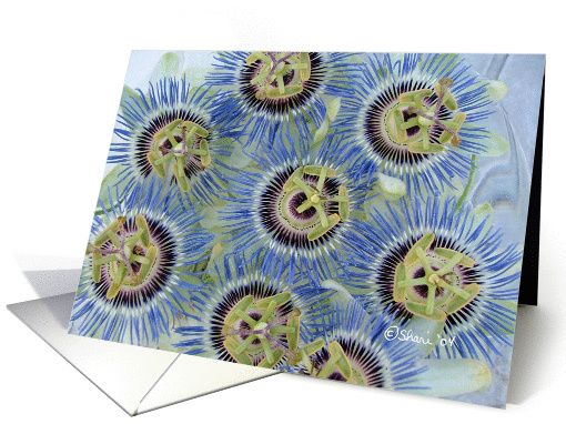 Dance of the Passion Flowers - Friendship card (122453)