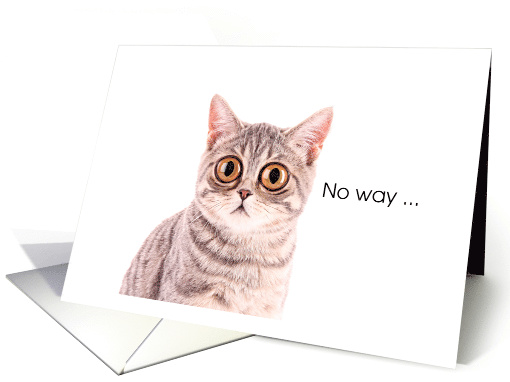 Surprised Cat Birthday card (1191806)