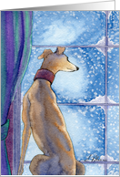 Greyhound watching snow fall greeting Christmas card