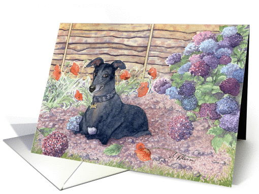 Greyhound dog helping in the garden card (1033759)