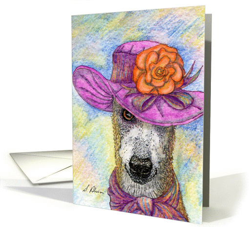 Greyhound whippet dog chuffed with new hat card (1039209)