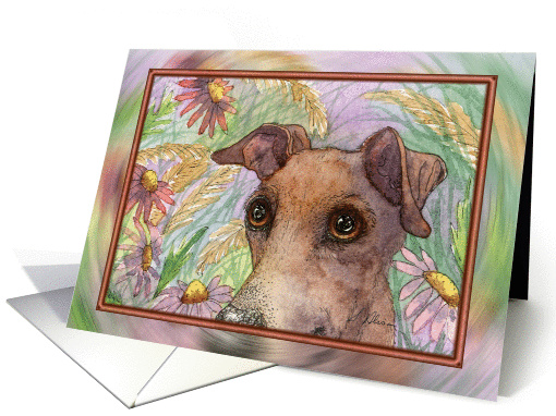 Greyhound whippet dog hiding in the garden card (1039223)