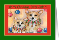 Merry Christmas Sister. Christmas Corgis. card