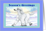 Season’s Greetings, white poodle on ice skates. card