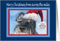 Merry Christmas from across the miles, Schnauzer in Santa hat card