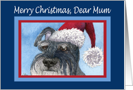 Merry Christmas Mum, Schnauzer in Santa hat card