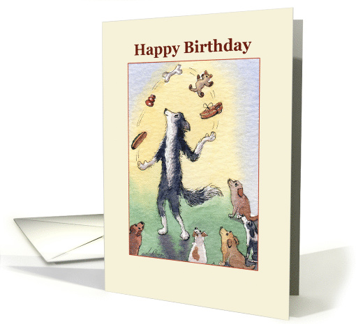 Happy Birthday, Border Collie dog juggling card (1464440)