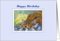 Happy Birthday, cat among blue flowers, birthday card