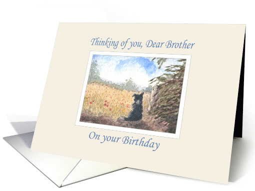 Thinking of you brother, birthday - border collie dog in a meadow card