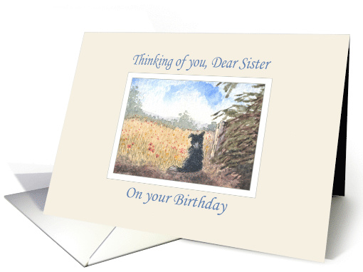 Thinking of you sister, birthday - border collie dog in a meadow card