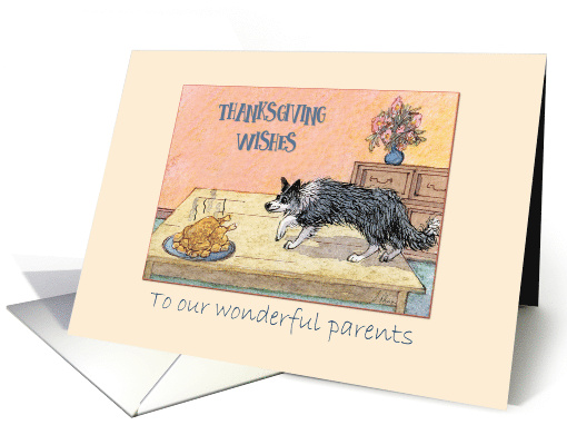 Thanksgiving Wishes to our Parents, Border Collie... (1474176)