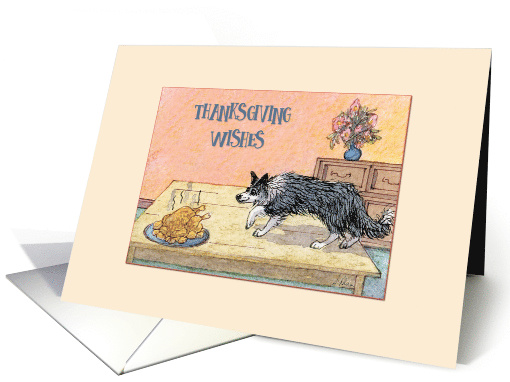 Thanksgiving Wishes, border collie dog stalking the turkey card