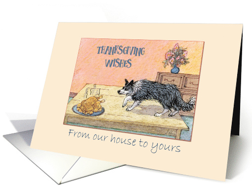 Thanksgiving Wishes, our house to yours, sheepdog... (1477820)