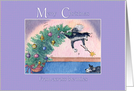 Merry Christmas from across the miles, border collies & fur tree fun card