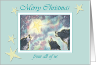 Merry Christmas from all of us, sheepdogs under the Christmas star card