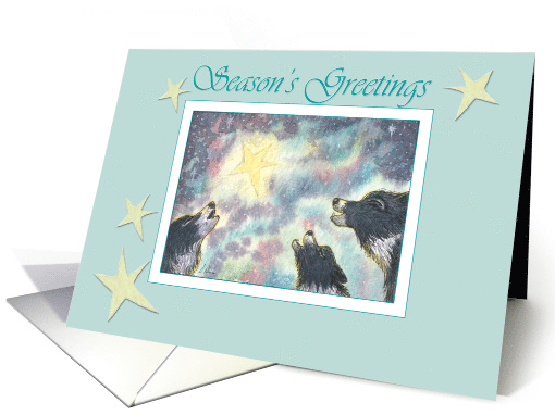 Season's Greetings, border collie dogs under the Christmas star card