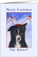 Merry Christmas, fab sister, border collie dog Christmas card