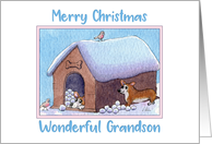 Merry Christmas Grandson, Corgi dogs playing snowballs card