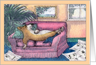 All tuckered out! Corgi dog on the sofa, blank, any occasion card
