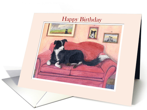Happy Birthday, border collie dog on the sofa card (1497408)