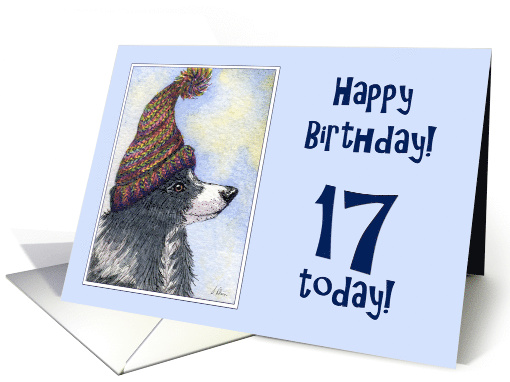 Happy Birthday, 17 today, border collie dog in bobble hat card