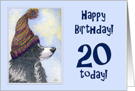 Happy Birthday, 20 today, border collie dog in bobble hat card
