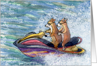 Corgi dogs on a speedboat, blank any occasion card