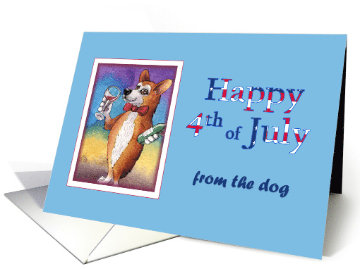 Happy 4th of July, from the dog,corgi dog drinking a... (1518152)