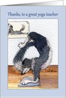 Thanks, to a great yoga teacher, border collie dog in yoga pose card