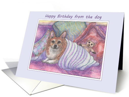 Happy Birthday from the dog, welsh corgi dog, cosy, teddy bear, card