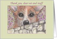 Thank you, dear vet & staff, corgi dog looking over the wall card
