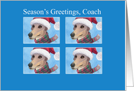 Season’s Greetings greyhound dog card, for Coach card