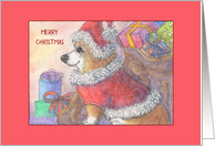 Corgi Dog in Santa Claus Costume, Blank card