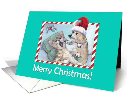Merry Christmas, Cat at the Corgi Dog Dentist. card (1550496)