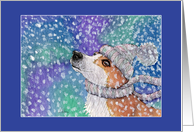 Corgi Dog Playing in the Snow, Blank card