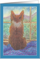 Corgi Dog, Pondering, Just Pondering, Blank card