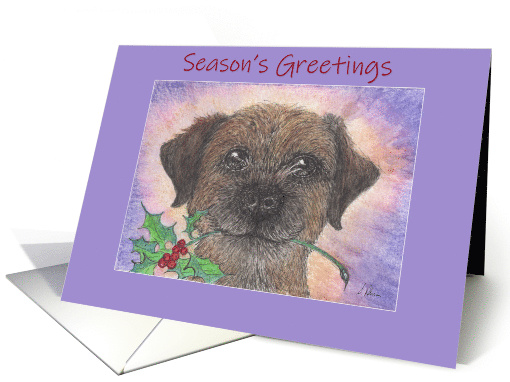 Season's Greetings, Border Terrier Dog & Holly card (1585536)