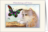 Cat Watching Butterfly but really Thinking of You Can’t Wait to See You. card